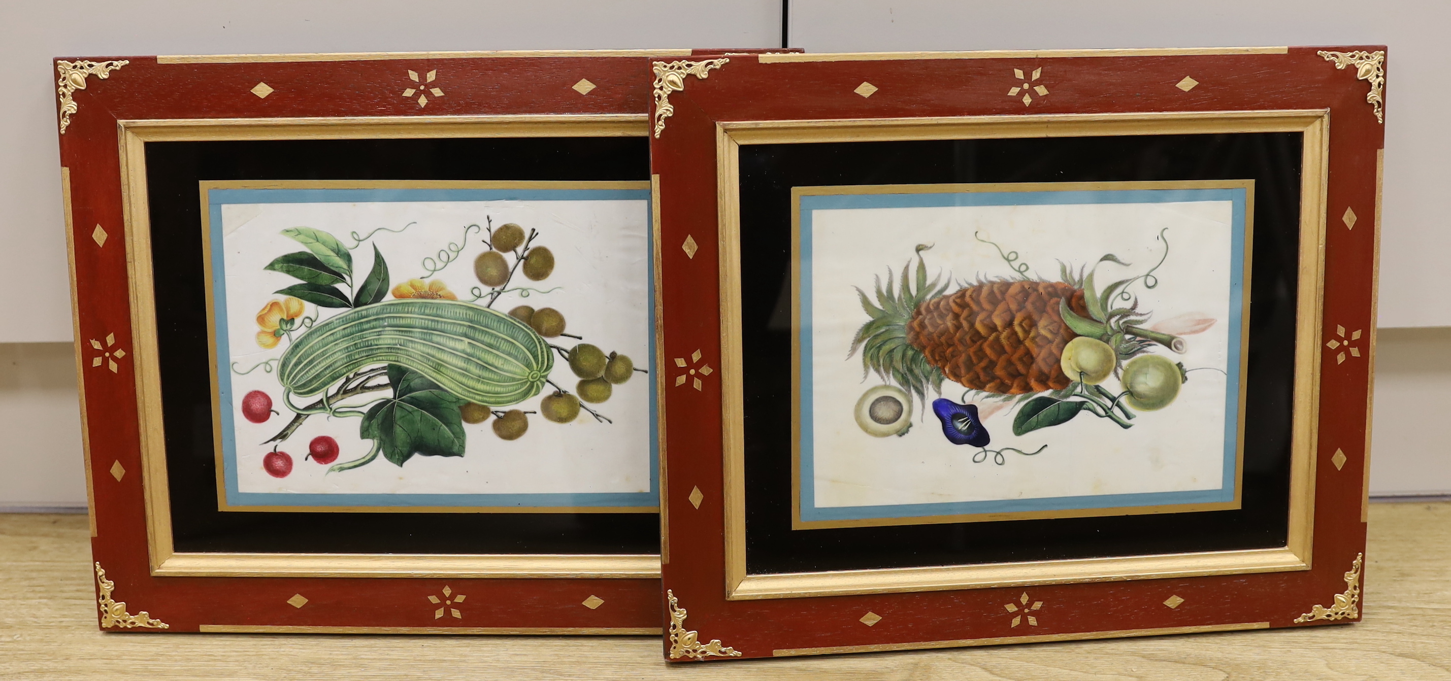 19th century Chinese School, pair of pith paper paintings, Still lifes of fruit, 16 x 23cm, housed in decorative frames